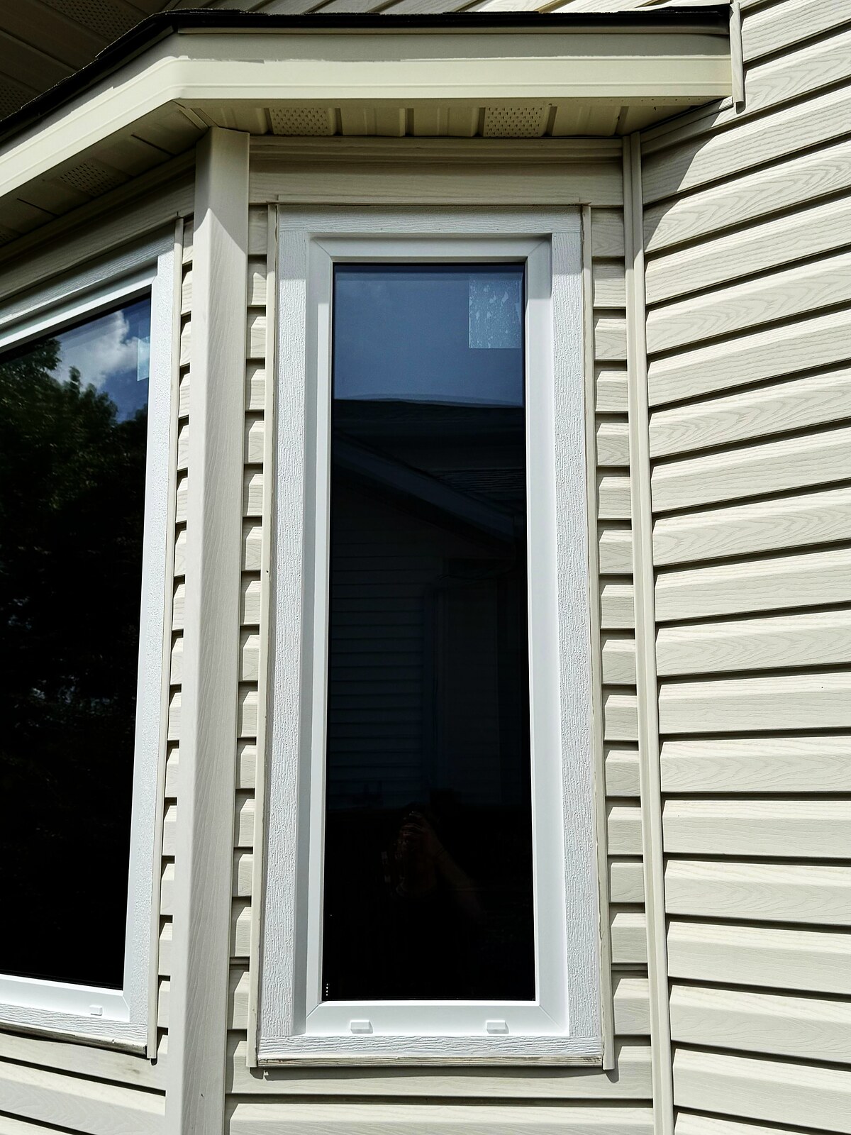 Bay window corner in white frames on cream vinyl siding — fixed picture unit beside a narrow casement
